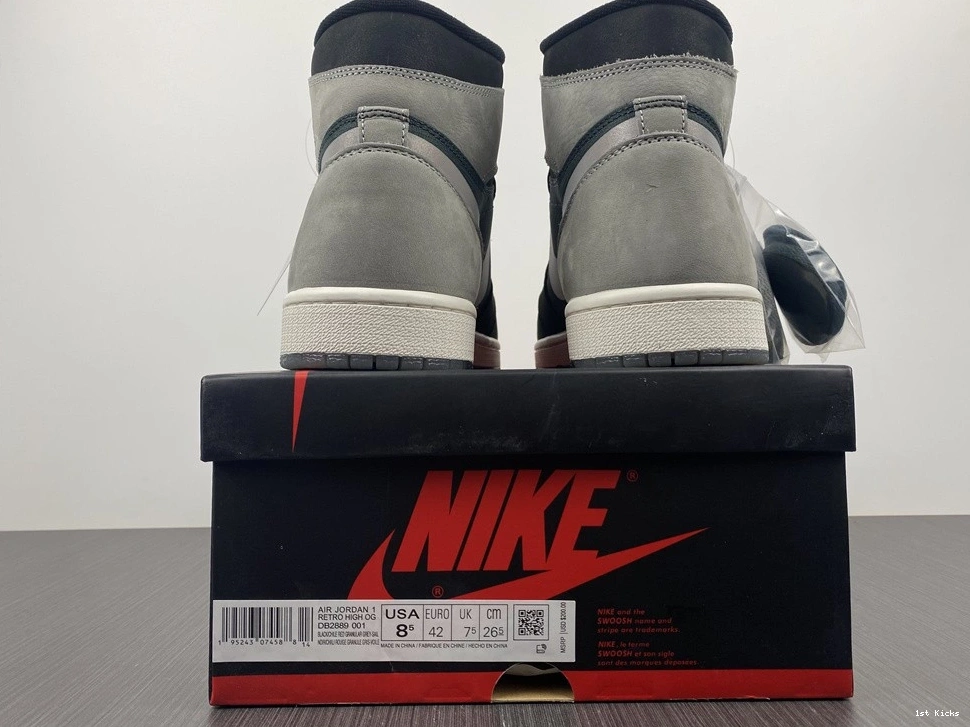 Jordan Air 1 Black Grey Gore-Tex Element DB2889-001 0417